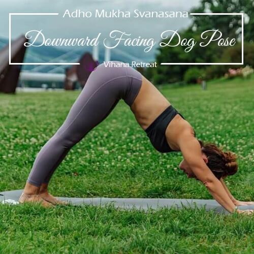 woman practicing down facing dog pose