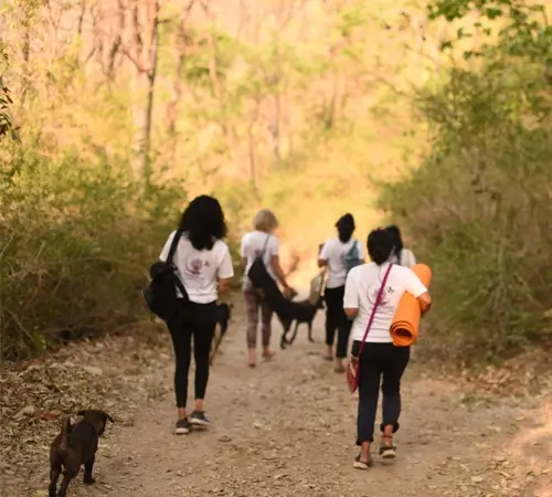 vihana students on a jungle hike